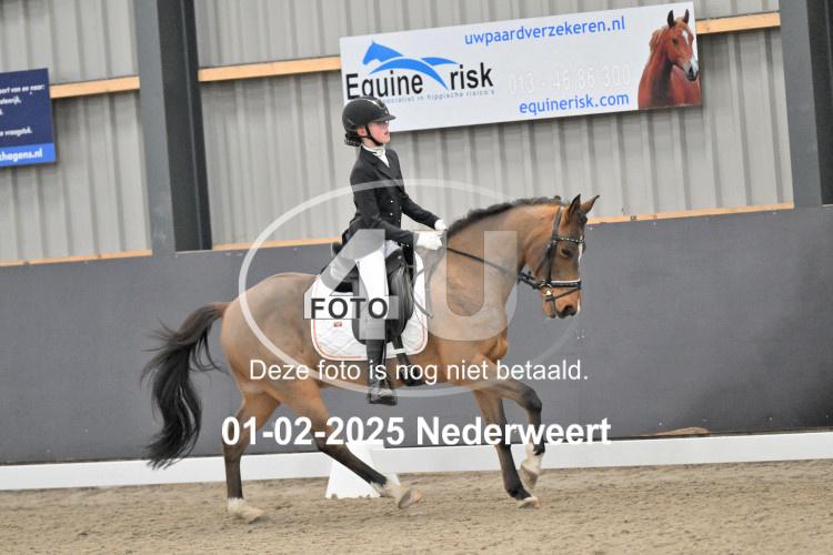 250201 2443