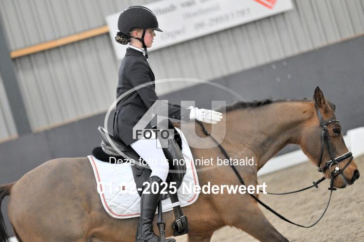 250201 2453