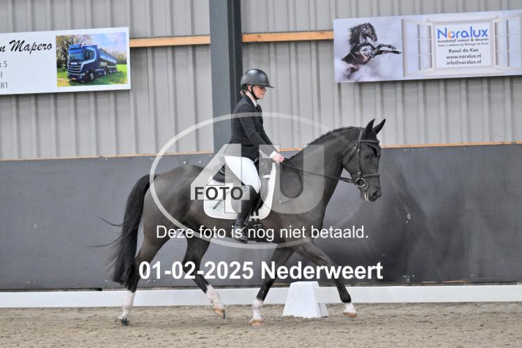 250201 2454