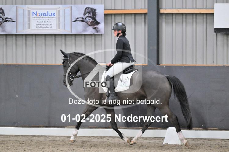 250201 2465