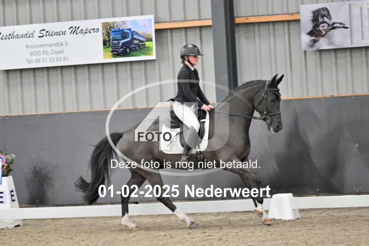 250201 2493