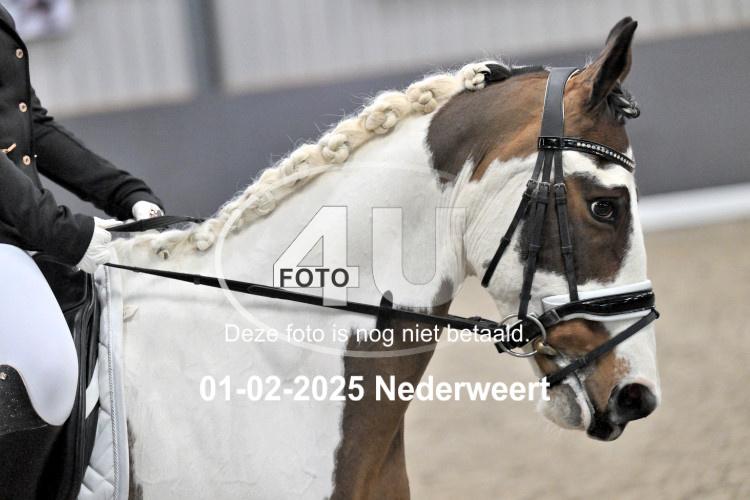 250201 2561