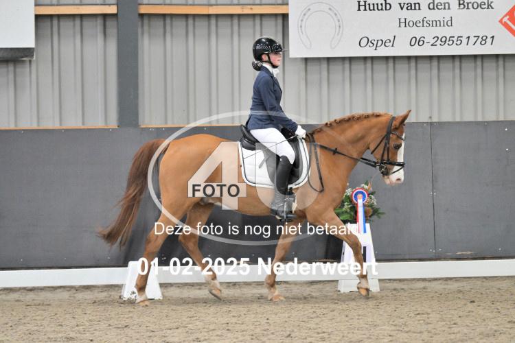 250201 2599