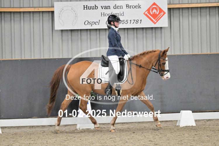 250201 2600