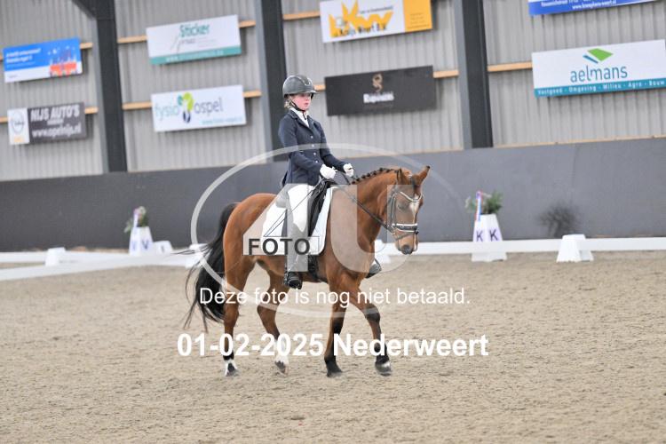 250201 2653