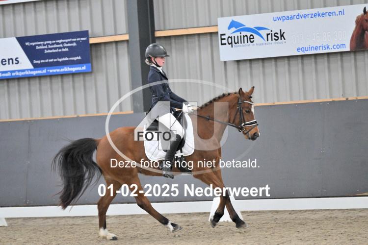 250201 2685