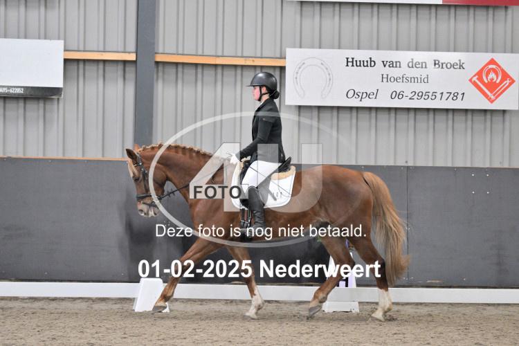 250201 2789