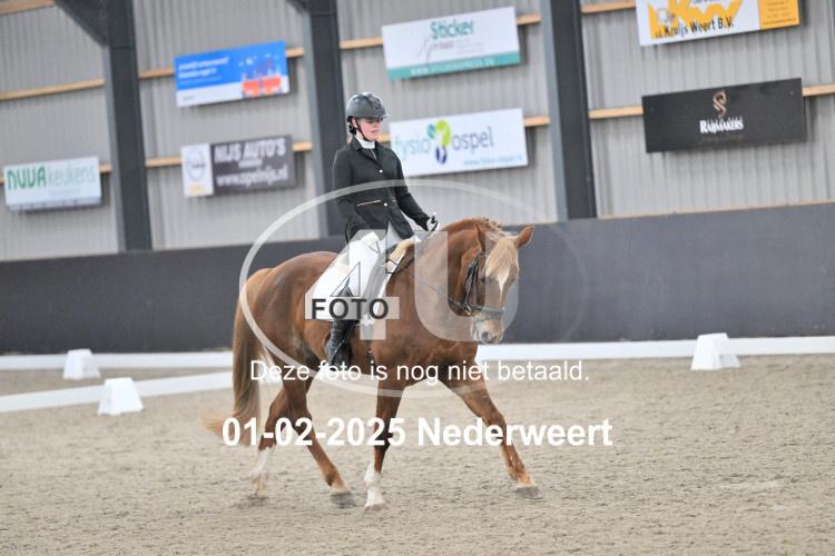 250201 2791
