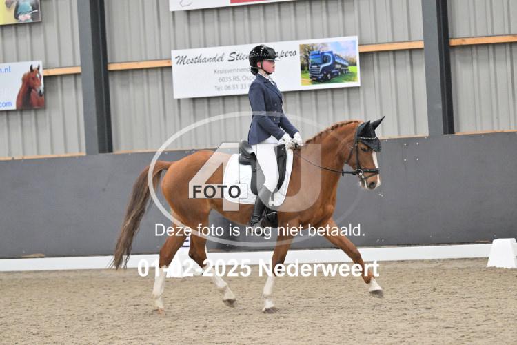 250201 2847