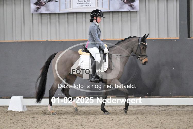 250201 2871