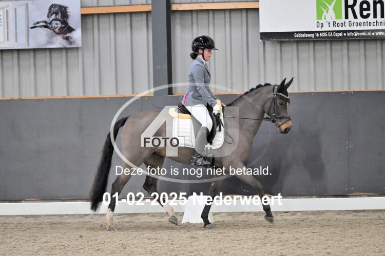 250201 2872