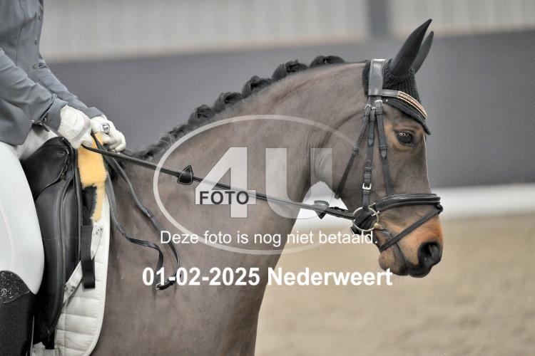 250201 2889