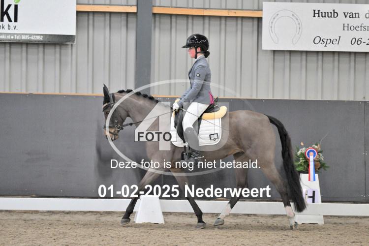 250201 2891