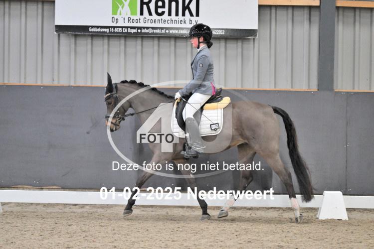 250201 2893