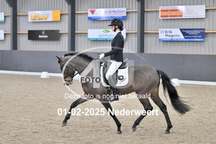 250201 2905