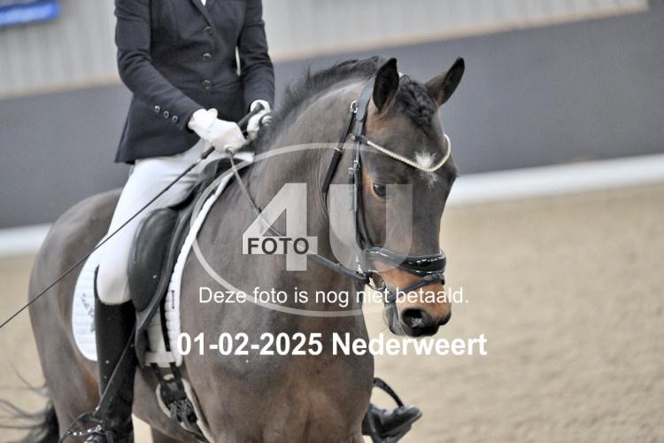250201 2906