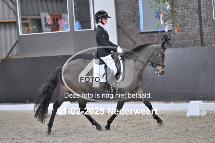 250201 2917