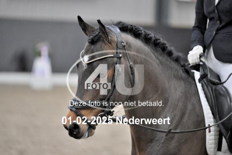 250201 2954