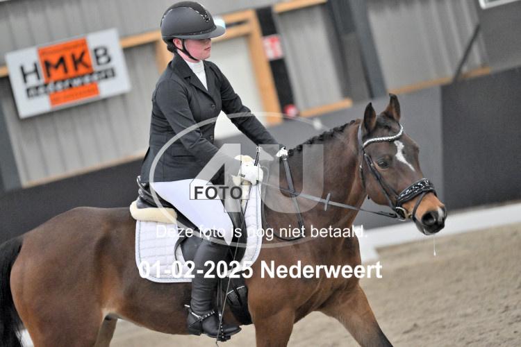 250201 2995