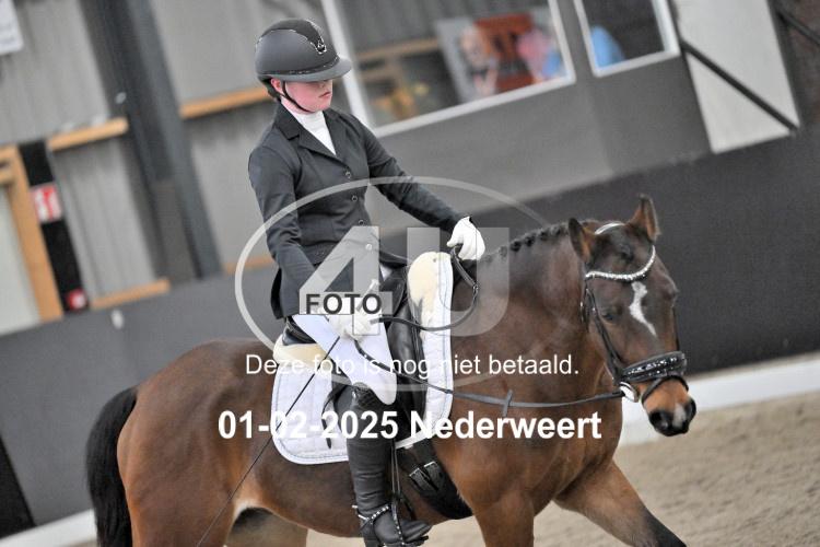 250201 2996