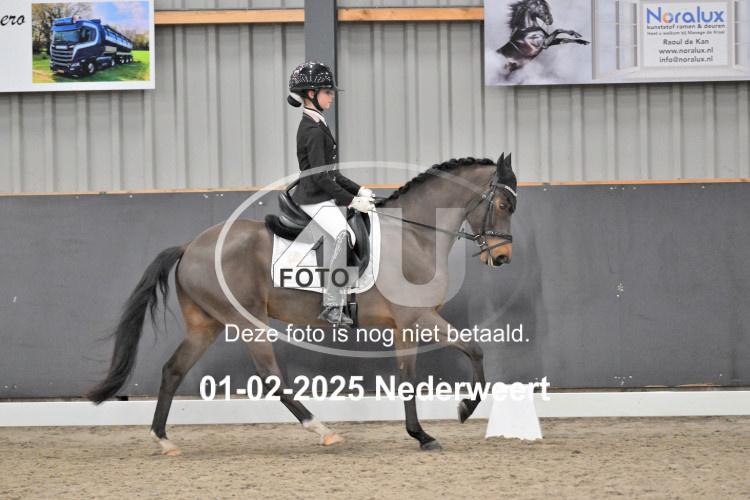 250201 3038