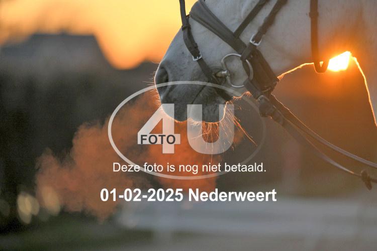 250201 3047