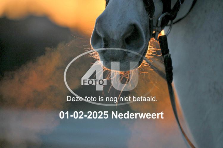 250201 3052