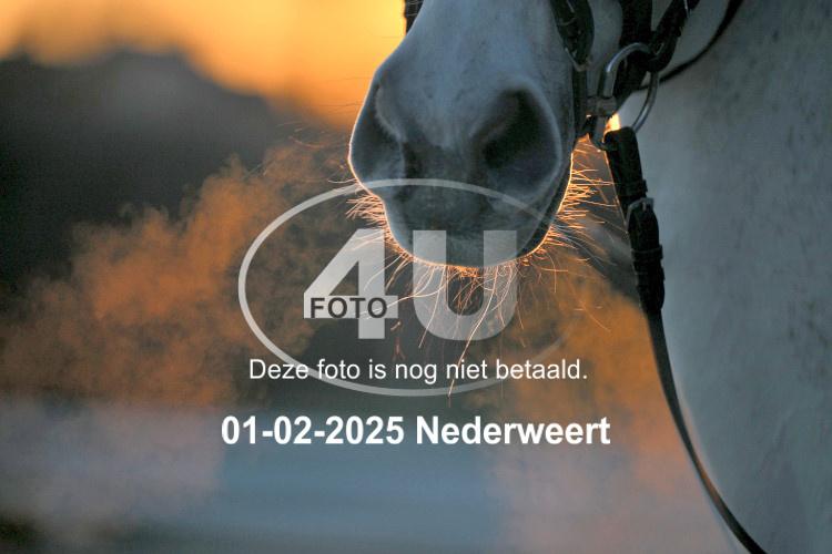 250201 3053