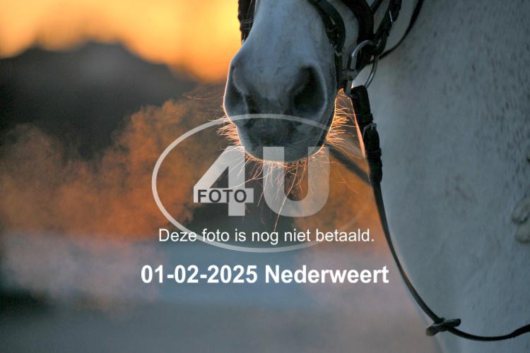 250201 3055