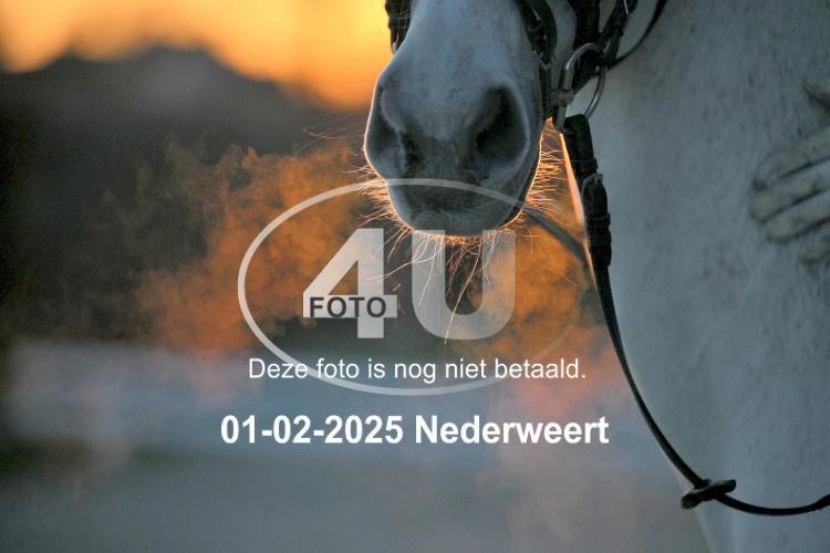 250201 3056
