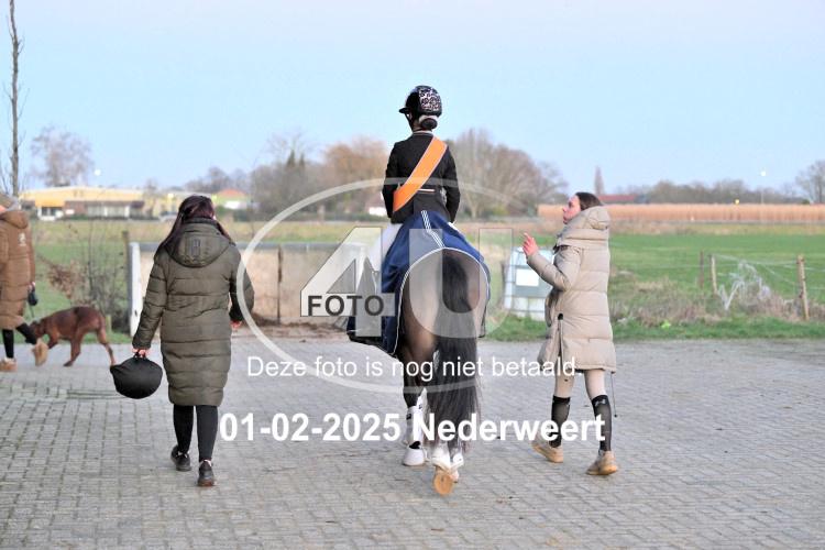 250201 3189