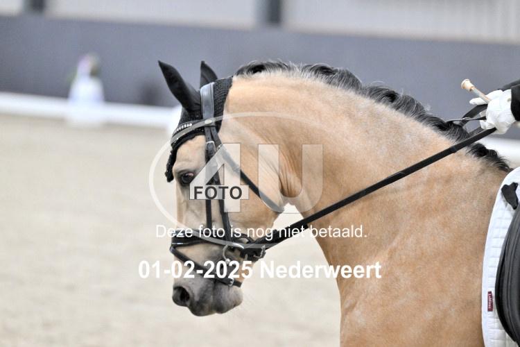 250201 3204