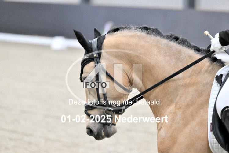 250201 3205
