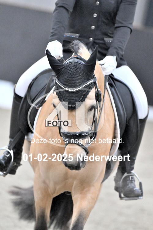 250201 3240