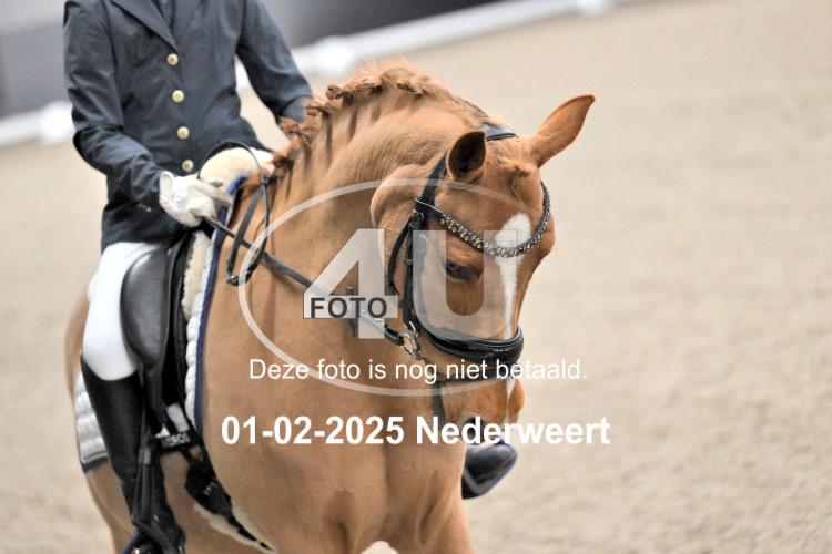 250201 3269