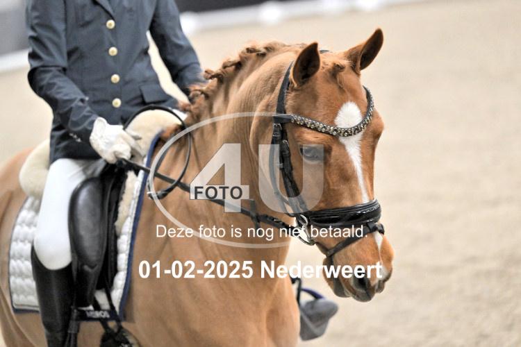 250201 3271