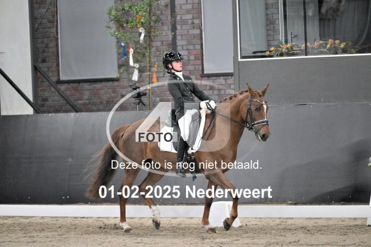 250201 3364