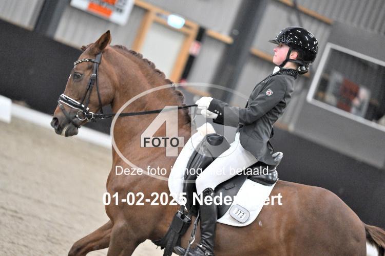 250201 3379