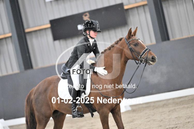 250201 3382
