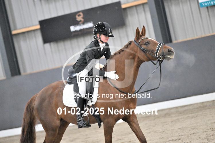 250201 3383