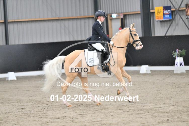 250201 3498