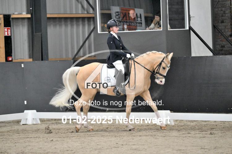 250201 3503