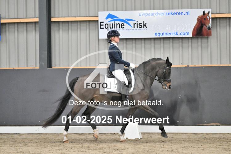 250201 3520