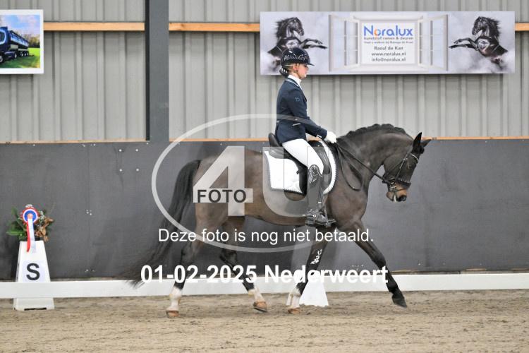 250201 3523