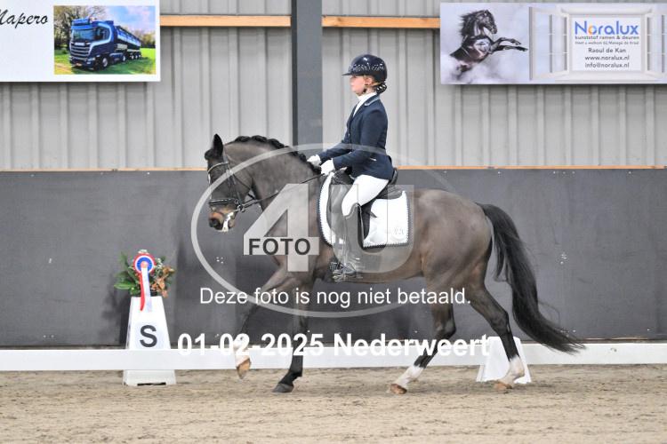 250201 3527