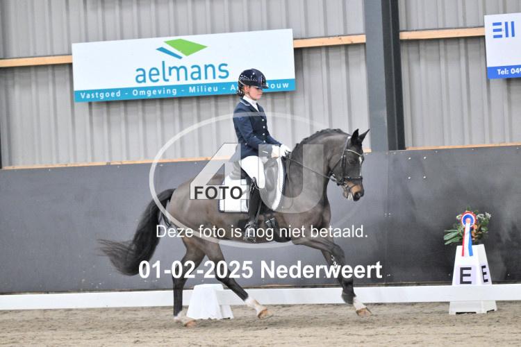250201 3559