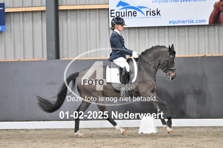 250201 3561