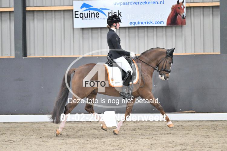 250201 3578