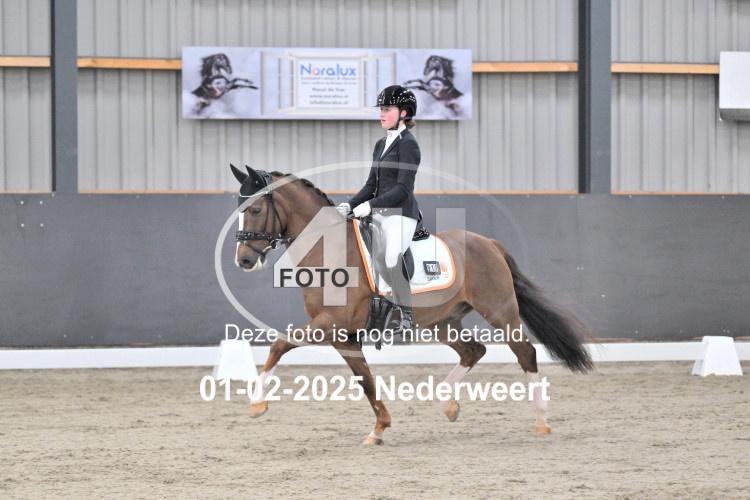 250201 3625