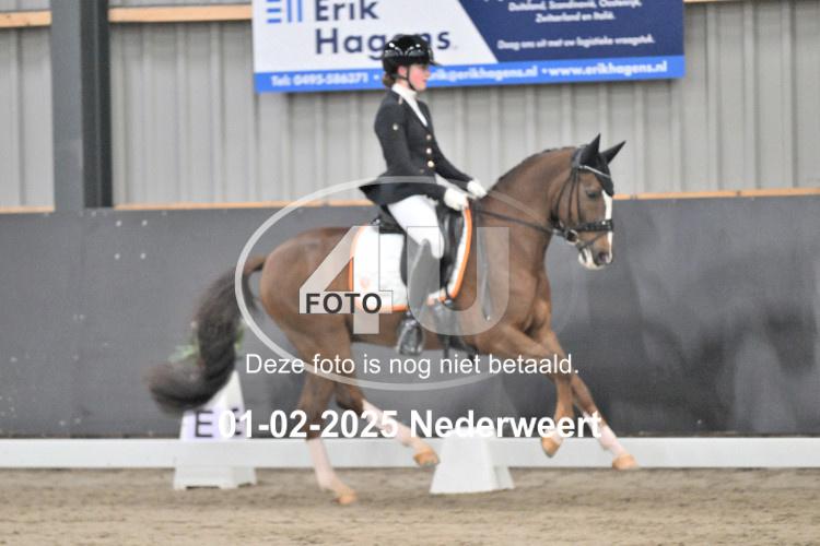 250201 3635
